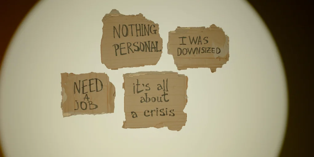 Stimate domnule director